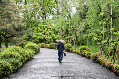 Zen walking | Kyoto | Japan