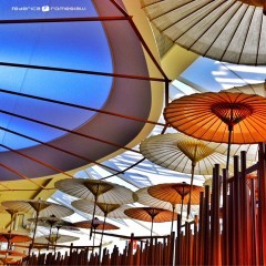 Chineese umbrellas | Milan Expo 2015 | Italy