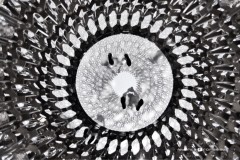 feet over my head | Milan Expo 2015 | Italy