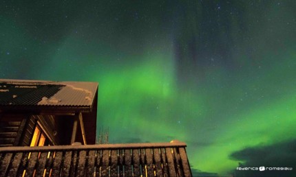 Happy new year under the northern light | Iceland