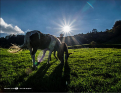 Mother and Son | Trentino | Italy