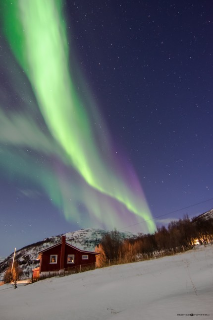 aurora4