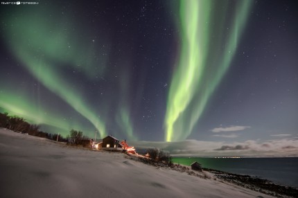 aurora5